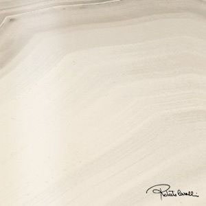 Agata Bianco Firma Lapp. 558806 декоративные элементы Roberto Cavalli, Италия, Для ванной Для туалета Для душа