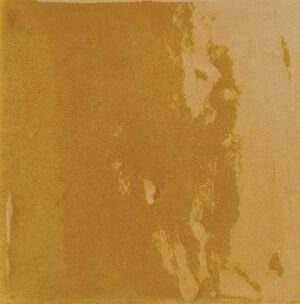 Provenza Amarillo керамическая плитка Cevica, Испания, Для кухни Для бани Для пола