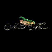 Мозаика Natural Mosaic