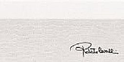 Tanduk Alzata Bianco Firma 556810 бордюры Roberto Cavalli, Италия, 