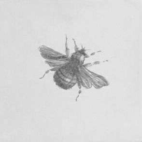 Dec. Bumble Bee Gris Prov.Blanco декоративные элементы Cevica, Испания, 