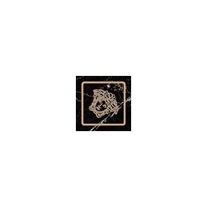 Emote Tozzetto Nero Amasanta 262582 вставки Versace, Италия, Для кухни Для ванной Для туалета Для фартука Для душа