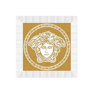 Meteorite Fir.Medusa Nat Bianco/Oro 47132 вставки Versace, Италия, Для кухни