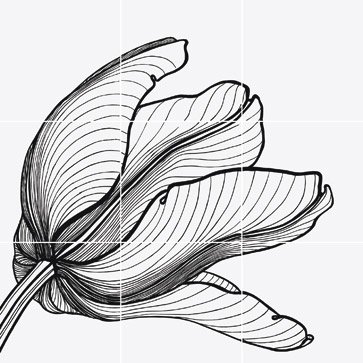 Van Der Hilst. Tuli-Charme 1. Bianco Extra декоративные элементы Bardelli, Испания, 