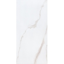 60*120 Ramila polish 2662 Керамогранит керамогранит , , Для кухни Для ванной Для коридора Для гостиной