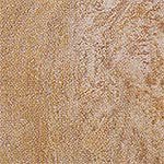 Evolution Beige керамогранит Ceracasa, Испания, Для кухни Для пола