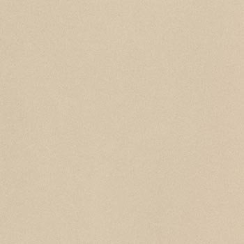 Parade PRTU 120A LV керамогранит Imola, Италия, 