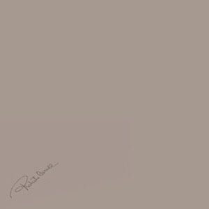 Diva Tortora Firma 553624 декоративные элементы Roberto Cavalli, Италия, 