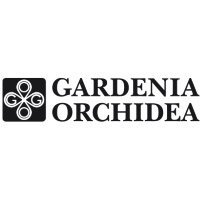 Gardenia Orchidea