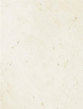 Halley Ivory 0869 керамическая плитка Cinca, Португалия, Для кухни