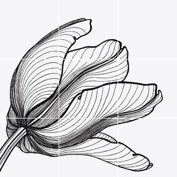 Tuli-charme 1 декоративные элементы Bardelli, Испания, Для ванной Для туалета Для душа
