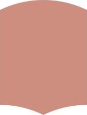 Tale A Muted Clay TL1014MC клинкер Ornamenta, Италия, Для туалета Для бассейна Для гостиной Для крыльца Для цоколя Для террасы Для внутренней отделки Для квартиры Для стен