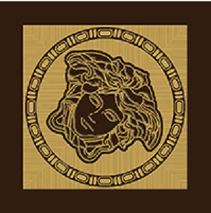 Maximvs Angolo Brown/Oro Lux G0067822 вставки Versace, Италия, Для ванной Для коридора Для гостиной Для душа